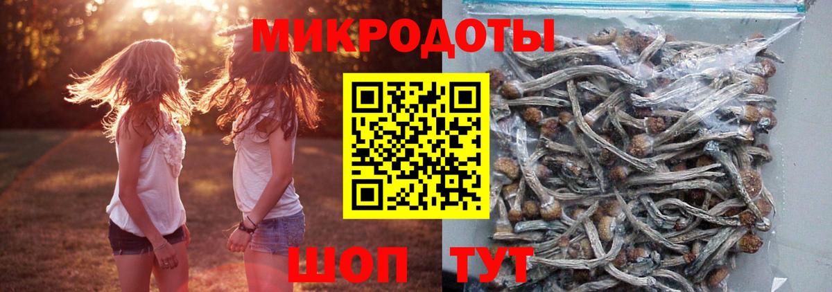 Калининград  Галлюциногенные грибы прущие грибы  хочу   Вход с VPN 